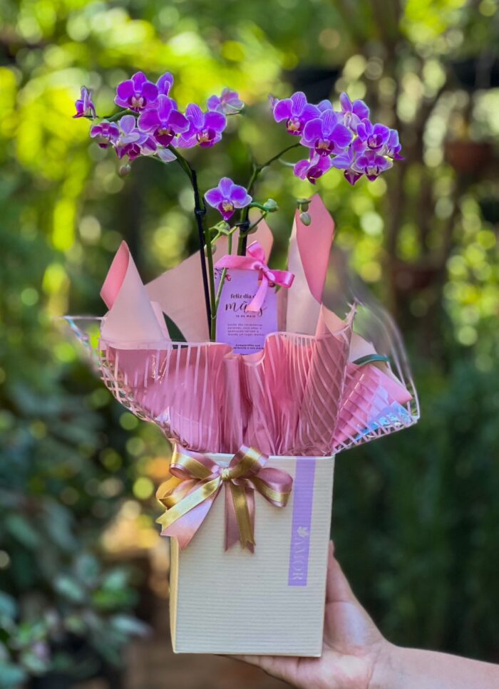 Orquídea