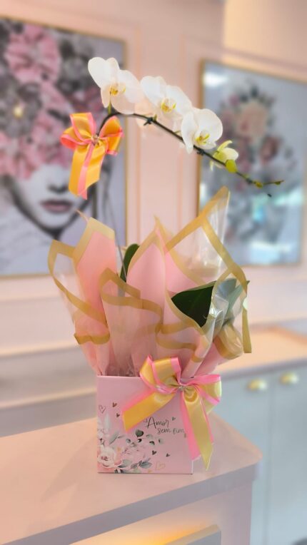 Orquídea