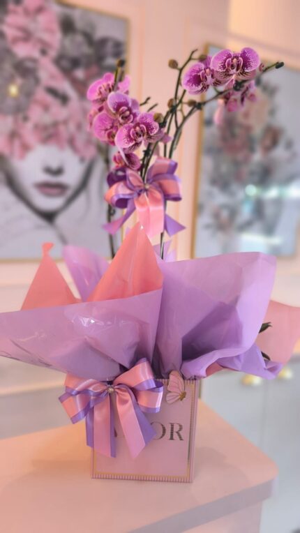 Orquídea