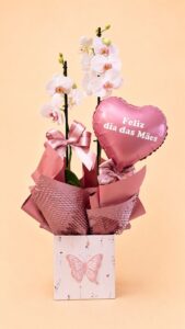 Orquidea Dia das Mães